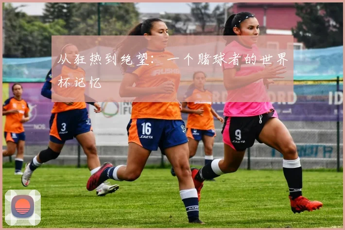 从狂热到绝望:一个赌球者的世界杯记忆