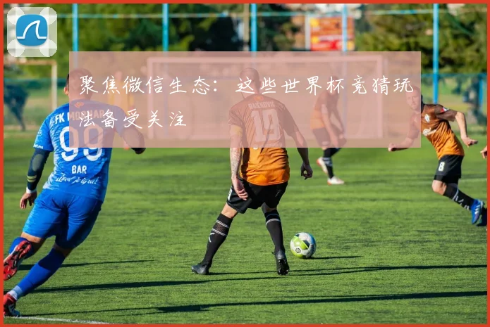 聚焦微信生态：这些世界杯竞猜玩法备受关注