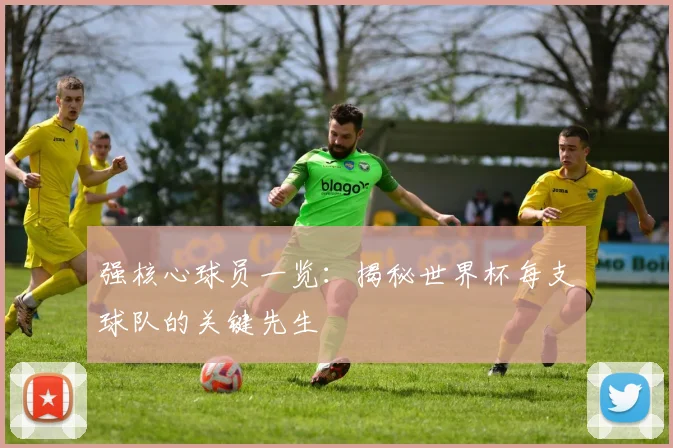 强核心球员一览：揭秘世界杯每支球队的关键先生