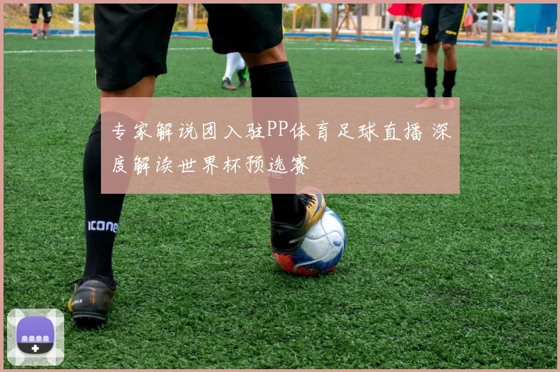 专家解说团入驻PP体育足球直播 深度解读世界杯预选赛