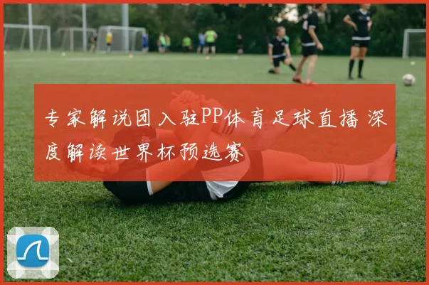 专家解说团入驻PP体育足球直播 深度解读世界杯预选赛