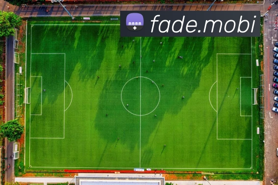 云开体app登录入口平台生态图