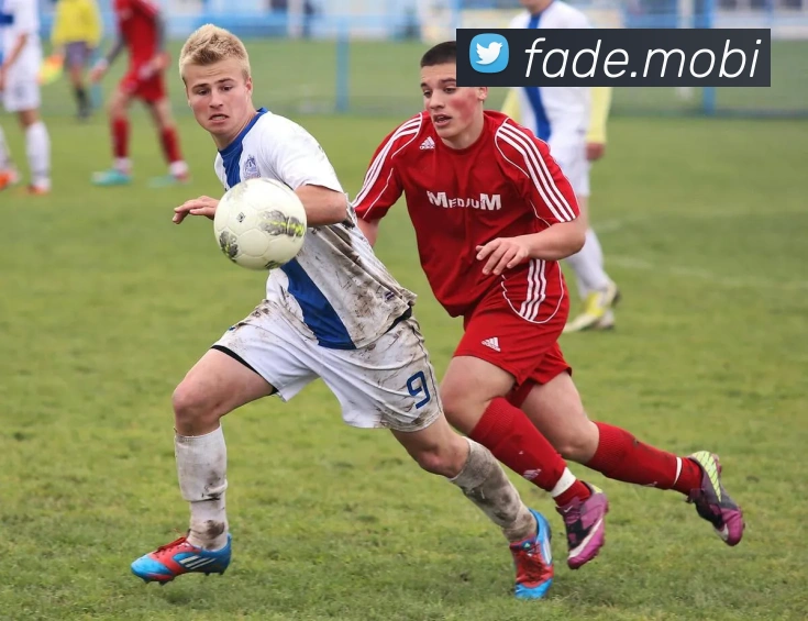 云开体app登录入口APP 封面图